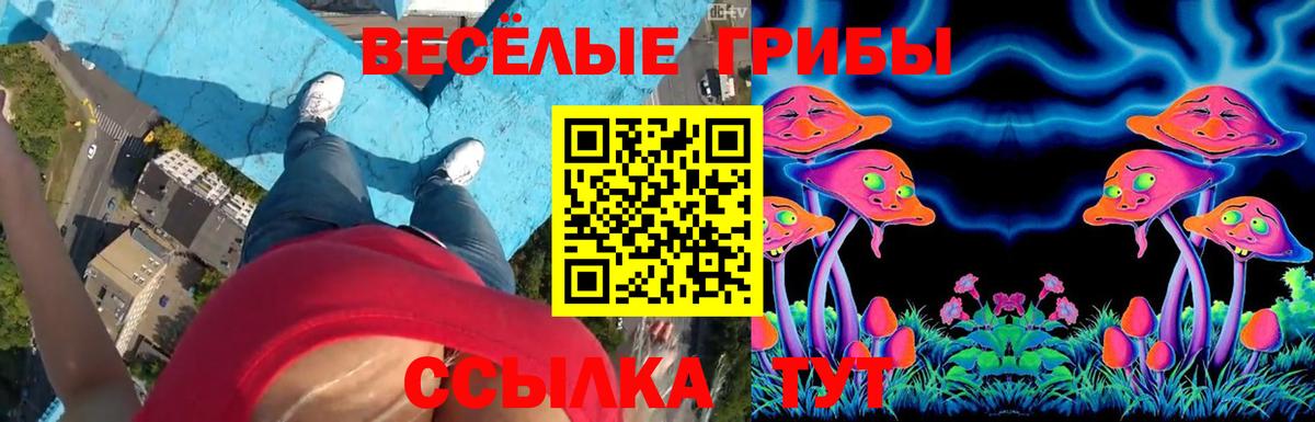 наркотики  Псилоцибиновые грибы ЛСД  Вход с VPN  Волжск 